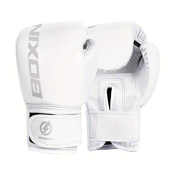 A Pair of Boxing Gloves white silvery